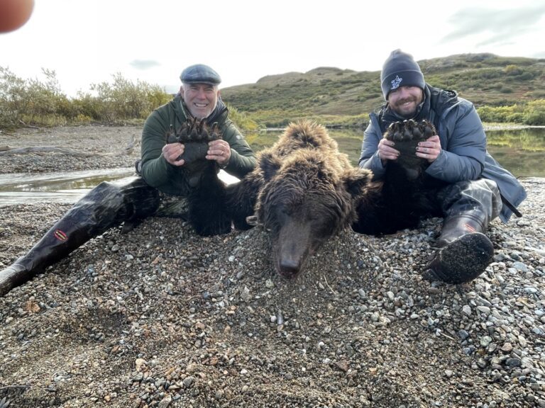 Alaska_Bear_Hunts-Wolverine_Outfitter (12)