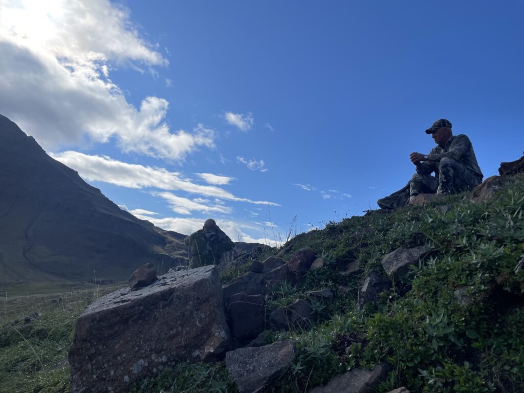 Alaska Dall Sheep Scouting