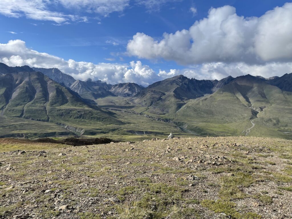 Scouting Alaska Dall Sheep