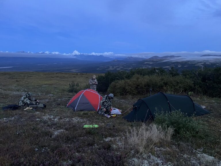 Alaska Moose Spike Camp