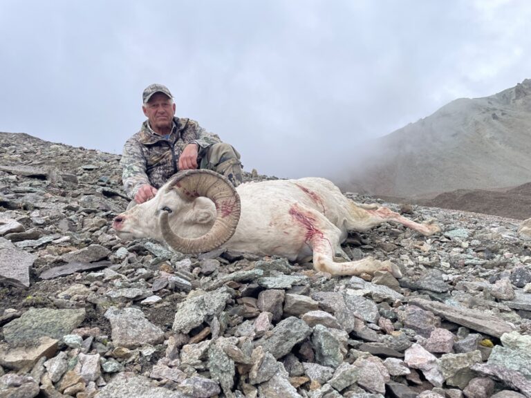 Returning Clients 2nd Alaska Dall Sheep Ram