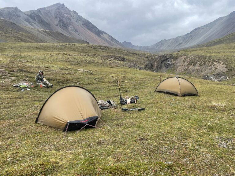 Alaska Dall Sheep Spike Camp