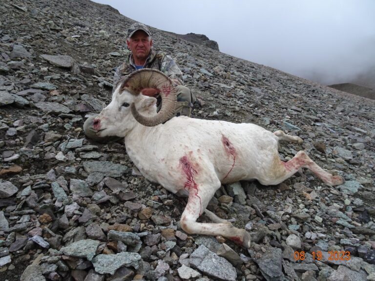 Day 12 Alaska Dall Sheep Hunt Last Day