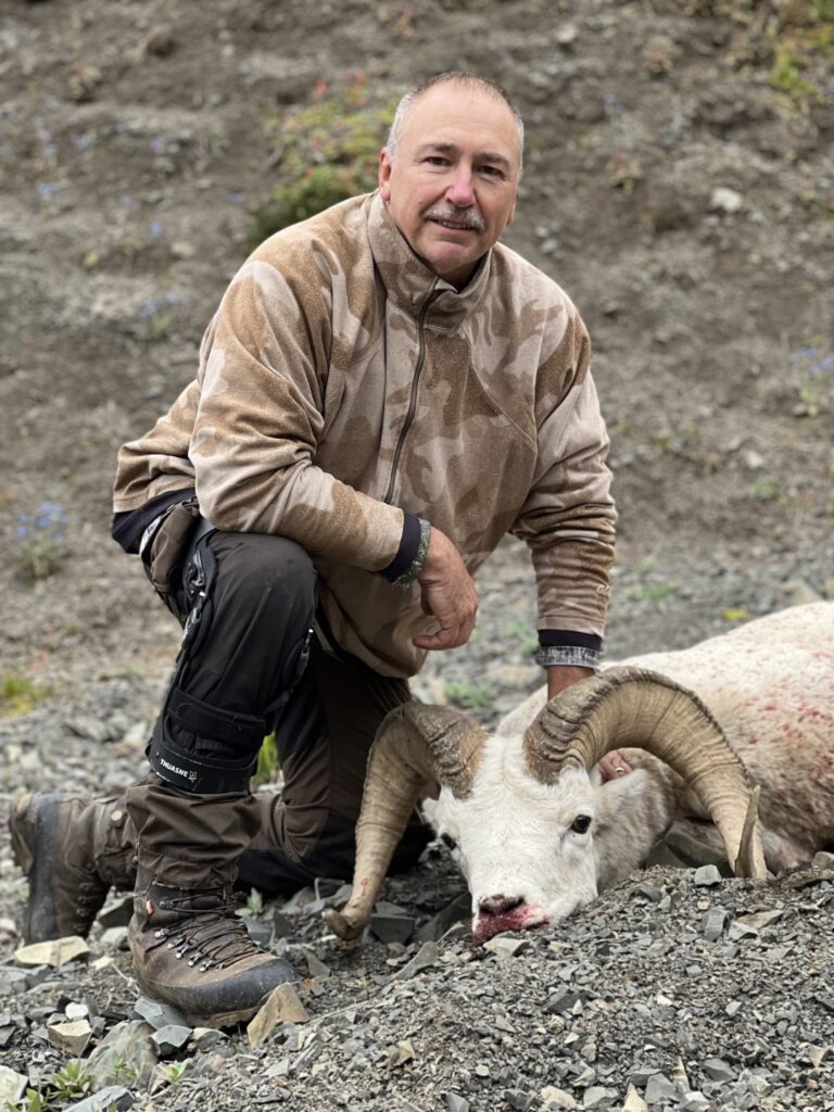 Alaska Dall Sheep Down