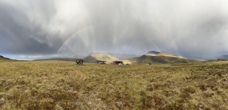 Alaska Sheep Weather