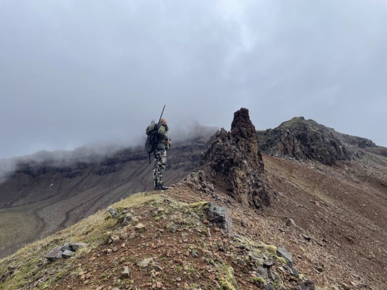 Alaska Dall Sheep Country