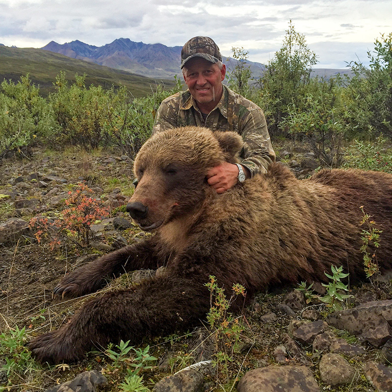 Grizzly Hunt in Alaska with Wolverine Outfitter