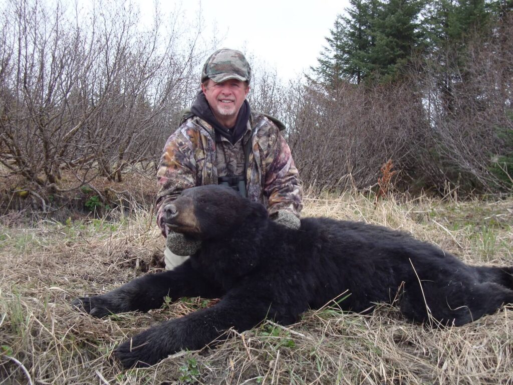 Black Bear Hunt Alaska with Wolverine Outfitter