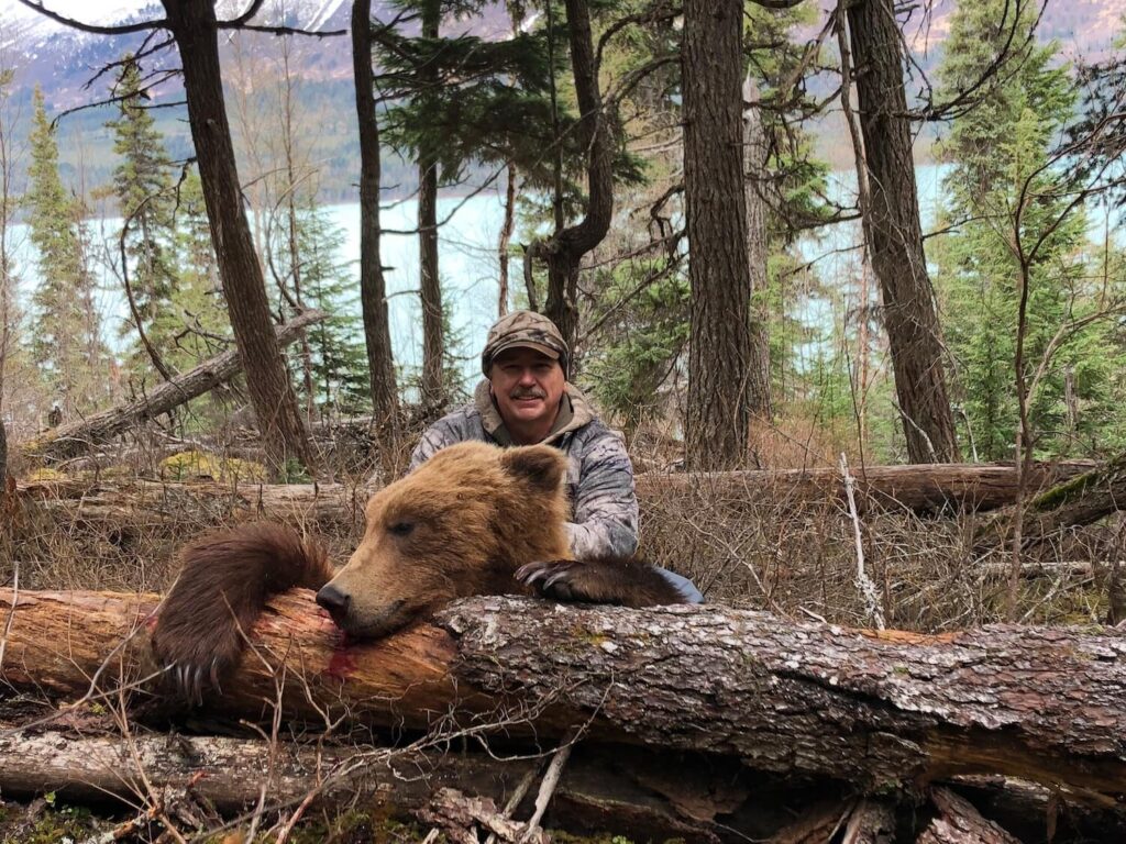 Alaska Brown Bear Hunt with Wolverine Outfitter