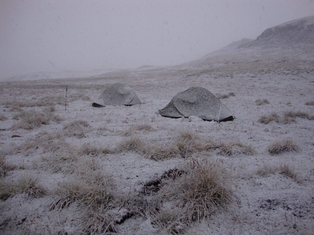 Nice Alaska Dall Sheep hunt morning