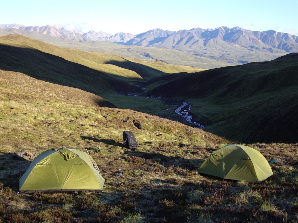 Great place for Alaska Dall Sheep camp