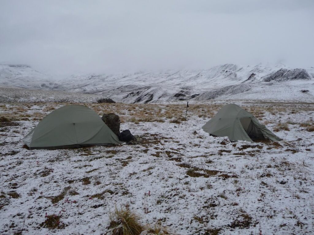 Alaska Sheep Hunt