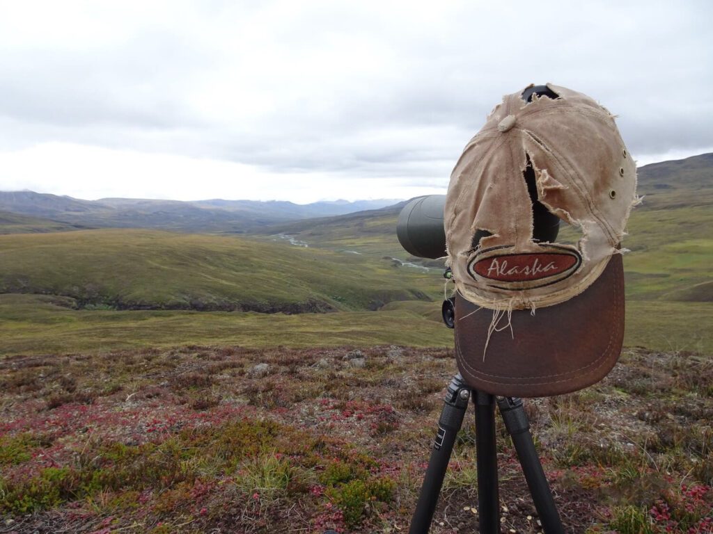 Alaska hat little weathered