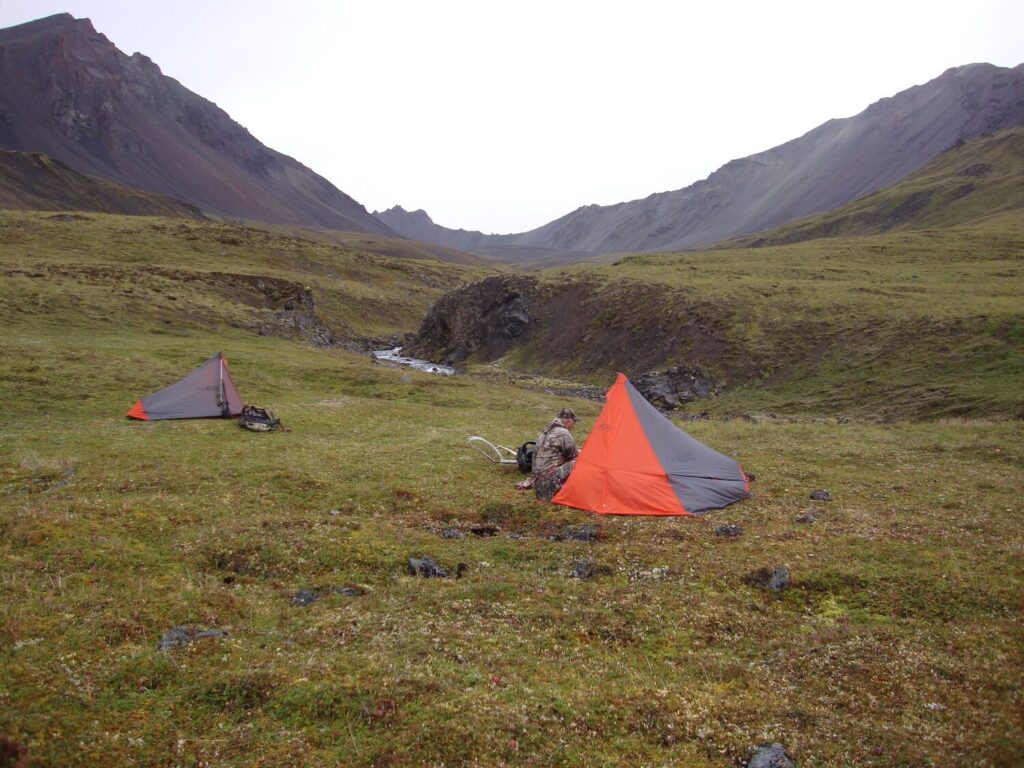 Alaska Dall Sheep Campsite