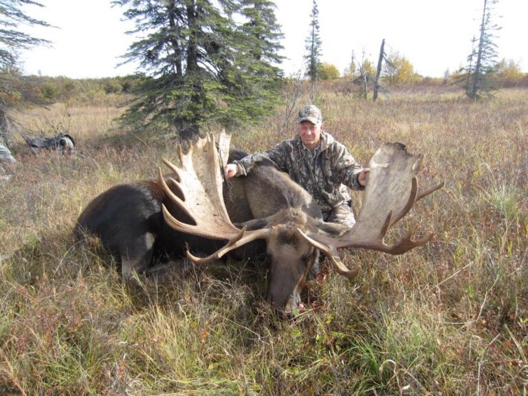 63" Alaska Bull Moose