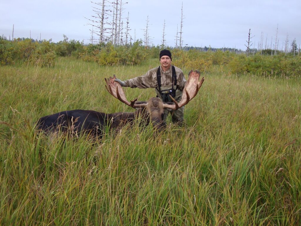 Swamp Alaska Bull Moose