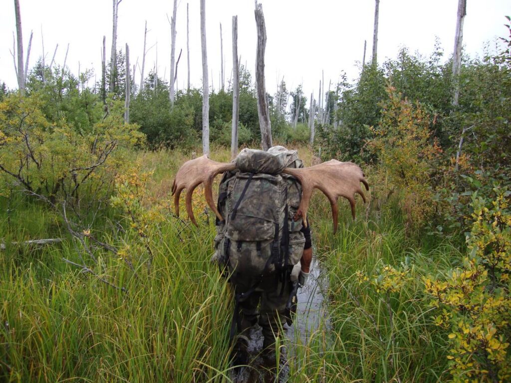 Alaska Moose Last Load