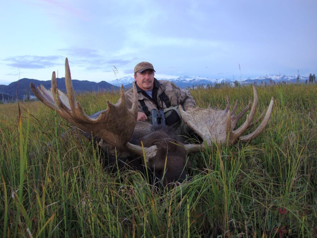 65" Alaska Bull Moose