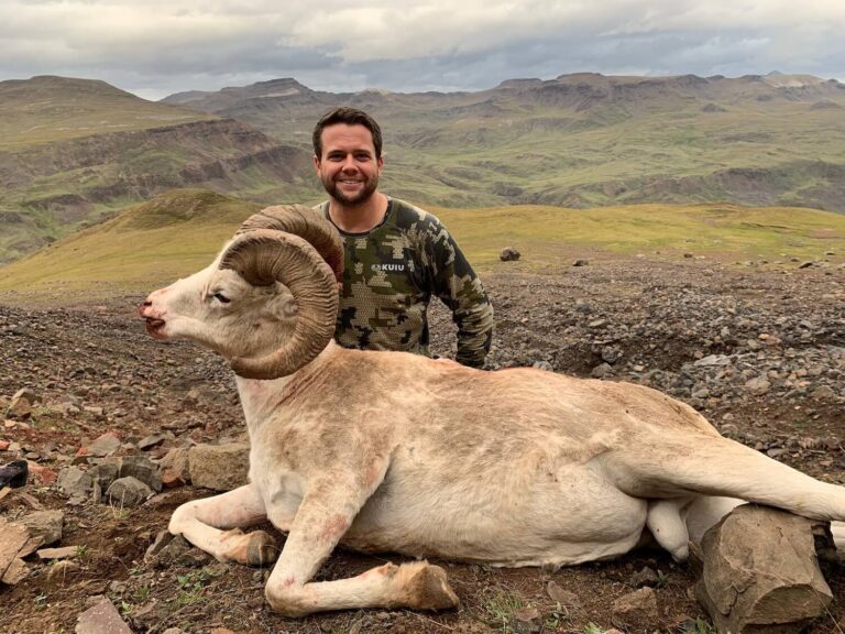 8 Year Old Double Broom Alaska Dall Sheep Ram Tough Hunt