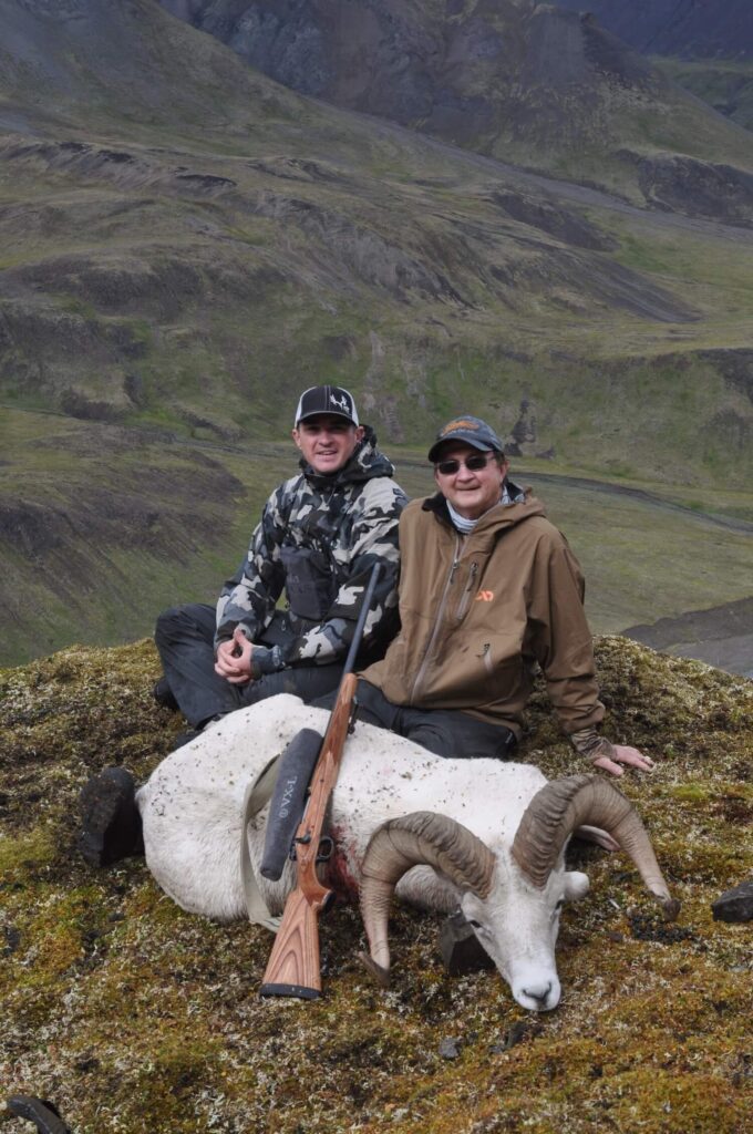 Nice Old Alaska Dall Sheep Ram