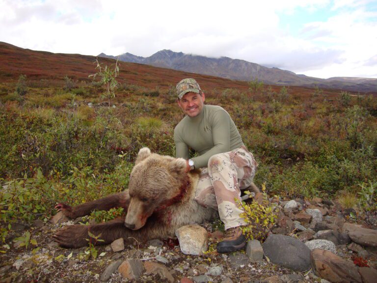 Nice Alaska Grizzly