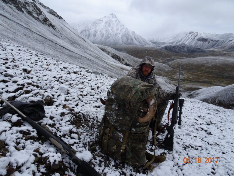 Alaska Dall Sheep Pack Out