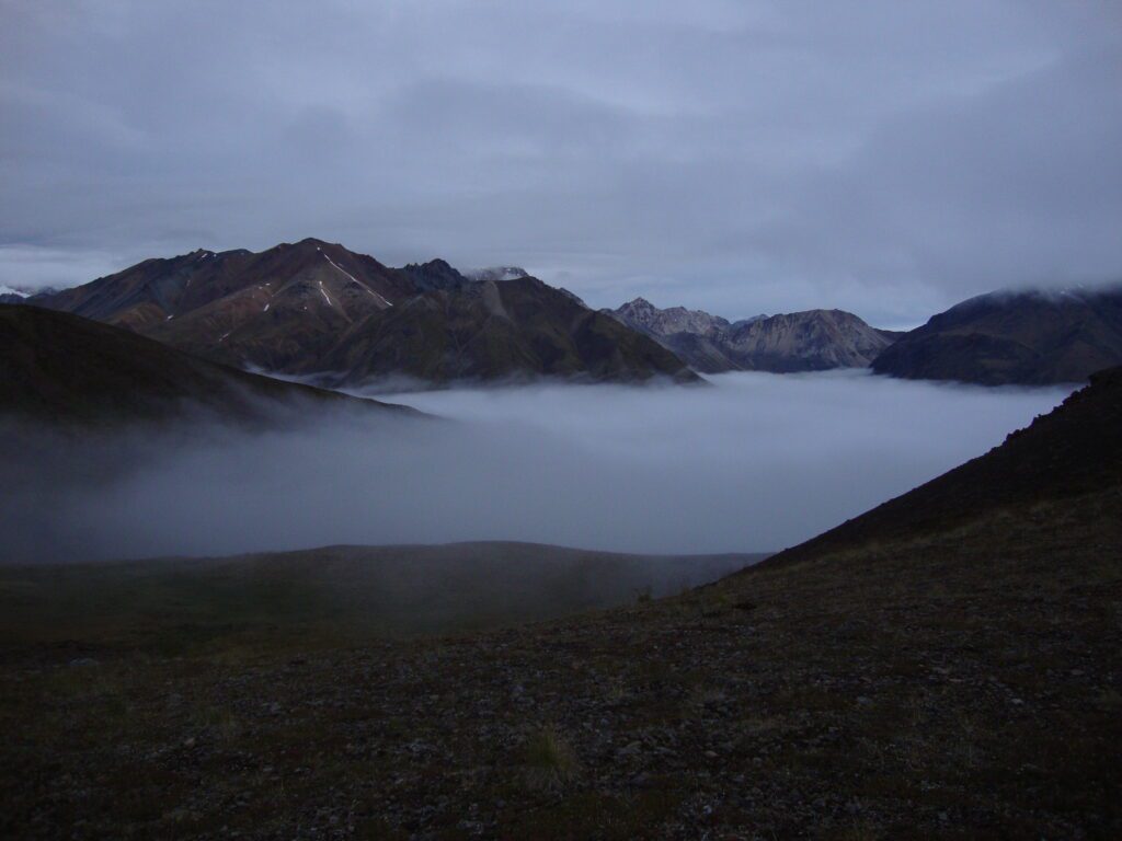 Alaska Fogged In