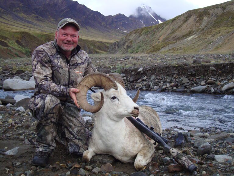 Alaska Dall Sheep Day 10 River Ram