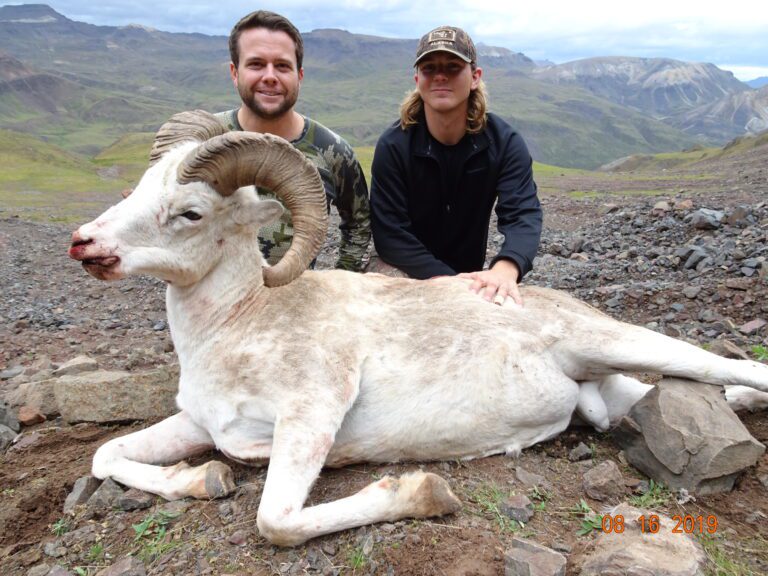 Great Alaska Sheep Harvest