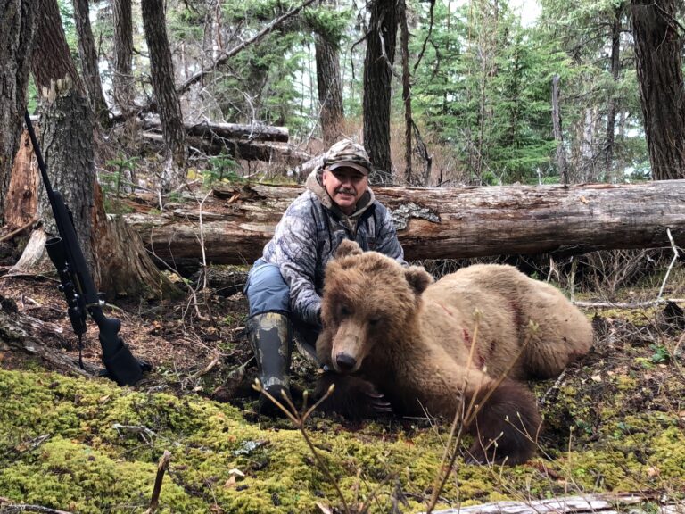 Rubbed Alaska Spring Bear