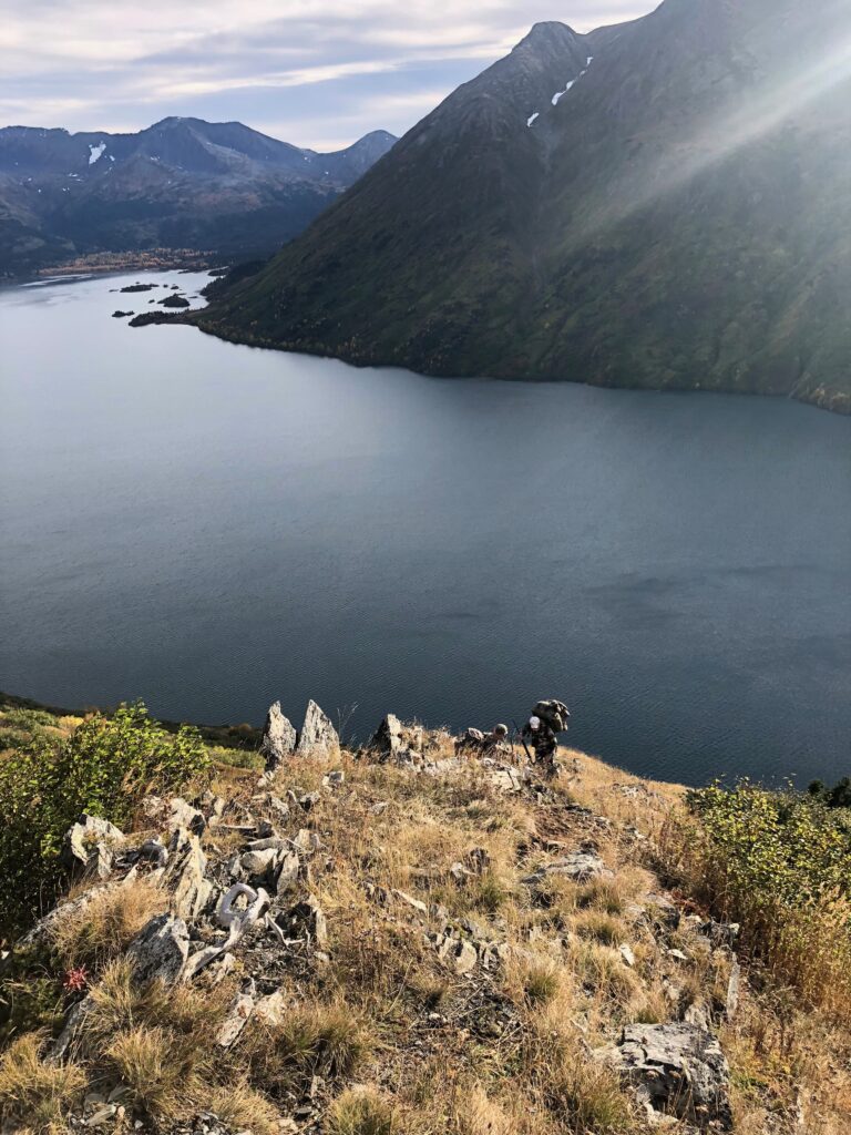 Alaska Mountain Goat Country