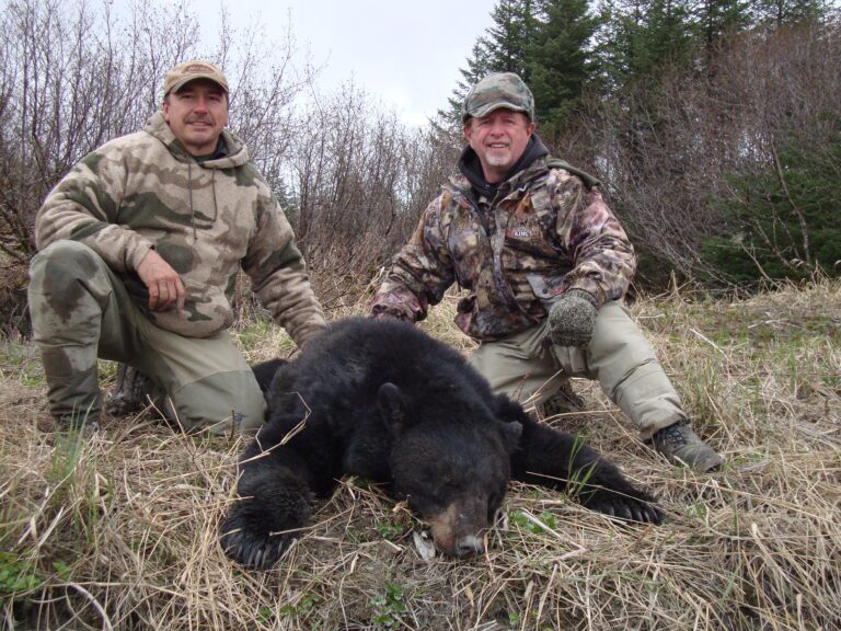 Nice 7' Plus Alaska Spring Black Bear